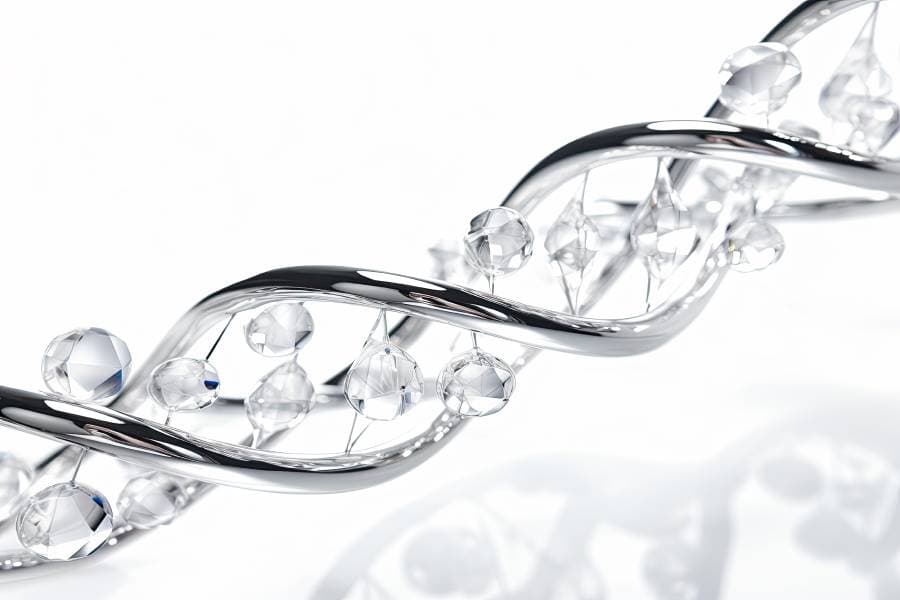 What Is Collagen?