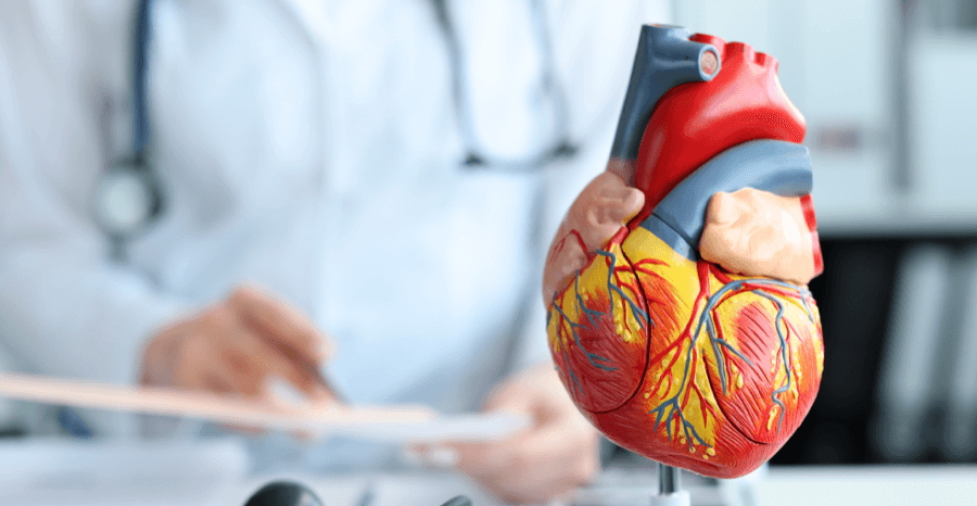 Your Pulse Is an Important Indicator of Your Health