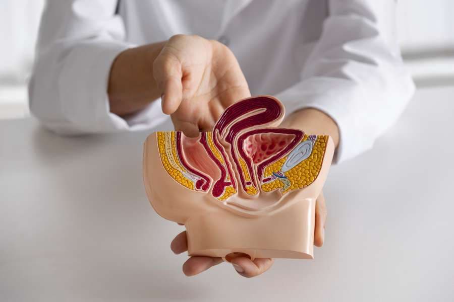 What Are the Symptoms of Large Intestine Cancer?