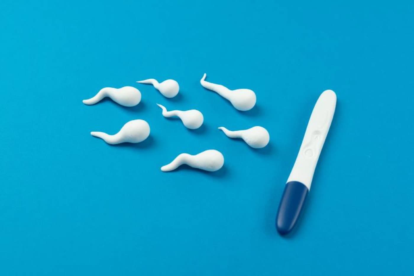 Sperm kalitesi nedir?