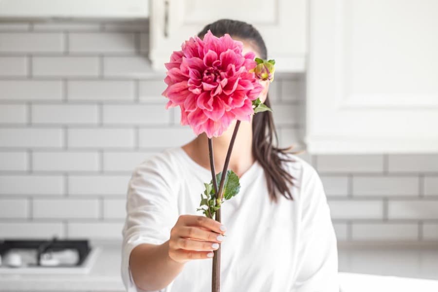 What Is Hormone Therapy (HRT) in Menopause? Benefits and Risks