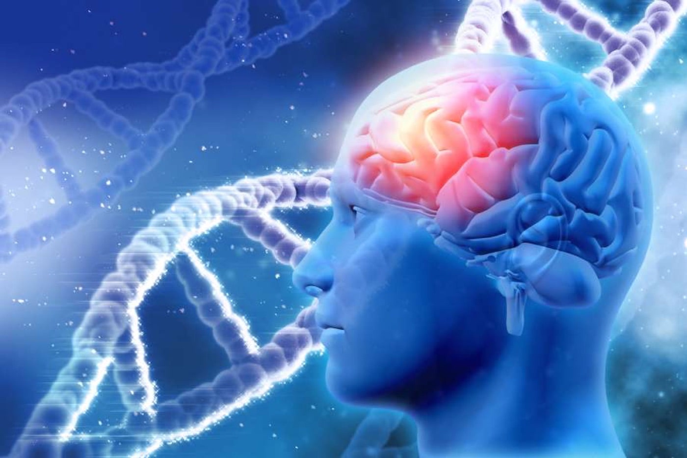 What Is Epilepsy?